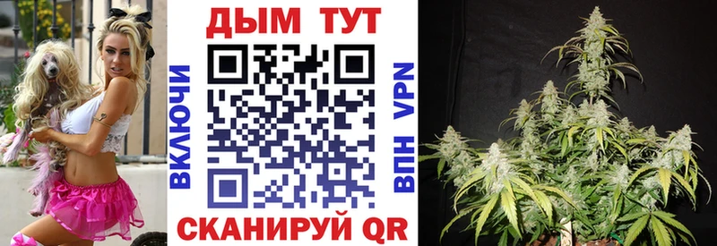 Продажа наркотиков Калининец Амфетамин  СК  Меф  COCAIN 