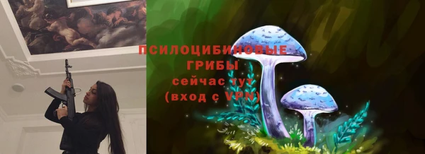 прущие грибы Арсеньев