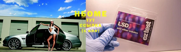 прущие грибы Арсеньев