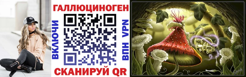 блэк спрут зеркало  Калининец  Псилоцибиновые грибы прущие грибы  купить  цена 
